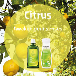 citrus-new-body-lotion-image-tile.jpg